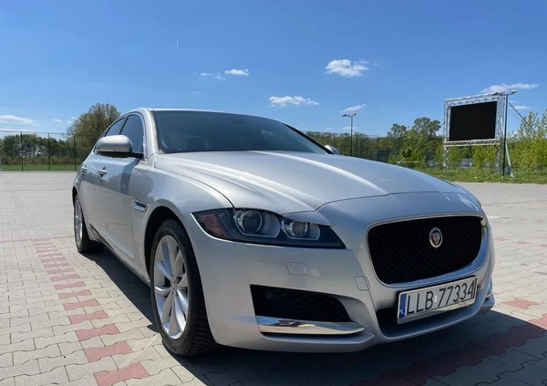 Jaguar XF cena 89000 przebieg: 93000, rok produkcji 2018 z Lubartów małe 781